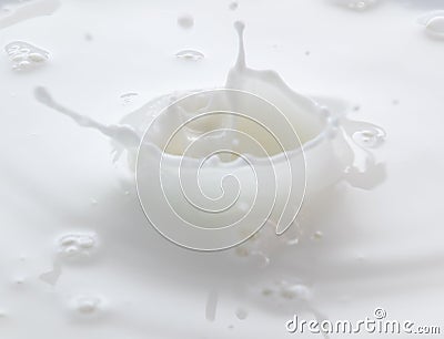 Splash and splashes from falling milk like a crown Stock Photo