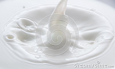 Splash and splashes from falling milk like a crown Stock Photo