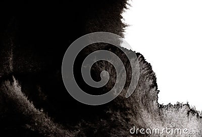 Splashes of black paint of various intensities regarded as dark smoke or wave. Black shapeless stain isolated on white background Cartoon Illustration