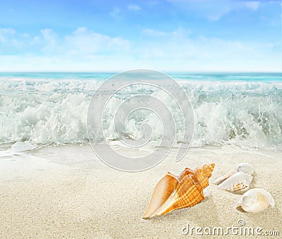 Splashing waves on the beach. Stock Photo