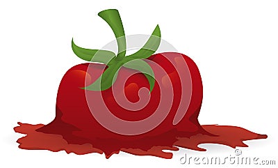 Splattered tomato with stem on its juice, isolated over white background Vector Illustration