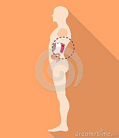 Spleen body location icon, flat style Vector Illustration