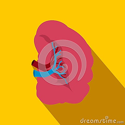 Spleen flat icon with shadow Vector Illustration