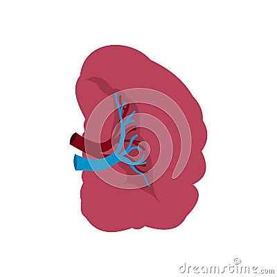 Spleen icon flat Vector Illustration