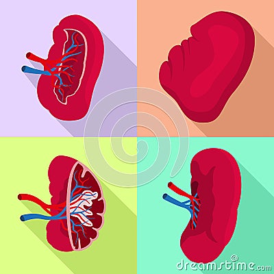 Spleen icons set, flat style Vector Illustration