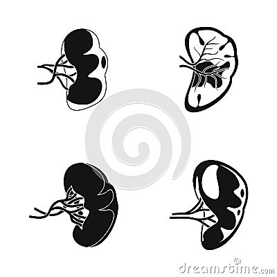Spleen milt anatomy icons set, simple style Vector Illustration