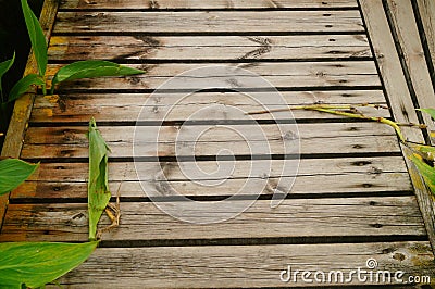 Spliced wooden planks are laid on the ground as architectural decorations in tourist attractions Stock Photo