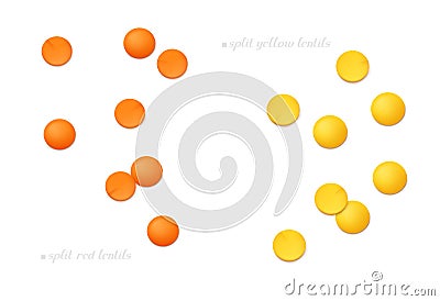 Red and yellow split lentils Masoor Dal isolated on white background. Top view Vector Illustration