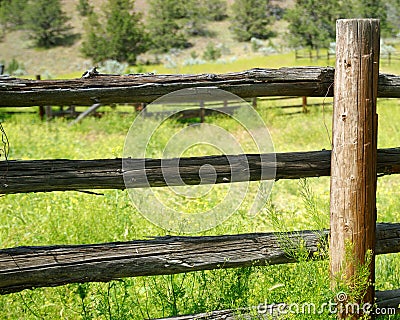 Split Rail Fence Stock Photo