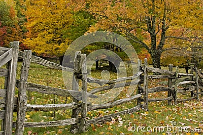 Split Rail Fence and Fall Colors Stock Photo