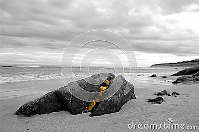 Split Rock on Beach Stock Photo