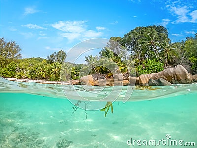 Split underwater view of Anse Severe beach Stock Photo