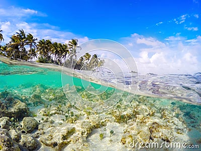 Split underwater view of La Caravelle shore in Guadeloupe Stock Photo