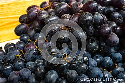 Spoiled black grapes. Rotten grape berries. Selling spoiled fruit. The grape juice. Overripe grape berries.Pile of discarded Stock Photo