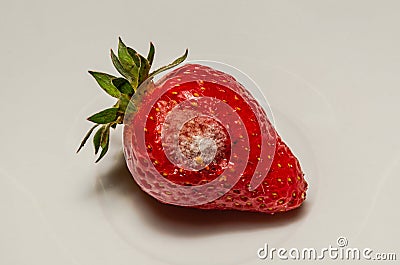 Spoiled rotten with moldy strawberries on a plate Stock Photo