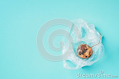 Spoiled turnip on blue background. Garbage dump rotten food. Top view. Copy space. Rotten vegetables and fruits concept. Zero Stock Photo