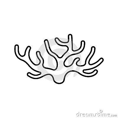 Spongilla icon. Linear logo of seaweed. Black simple illustration of coral, water plant or wooden driftwood. Contour isolated Vector Illustration