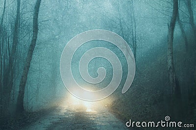 A spooky concept of car headlights on a track in a forest on a moody, foggy winters evening. With a grunge, abstract edit. England Stock Photo