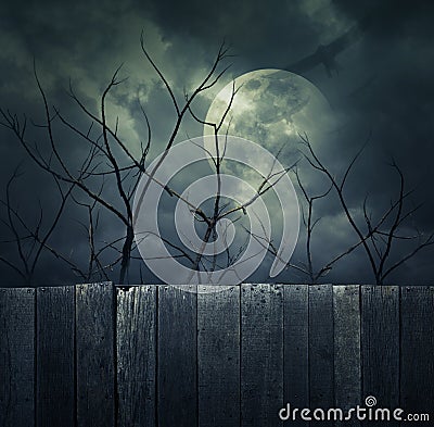 Spooky forest with full moon, dead trees, Halloween background Stock Photo