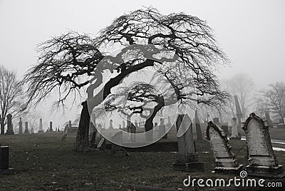 Spooky graveyard scene with scary trees a Stock Photo