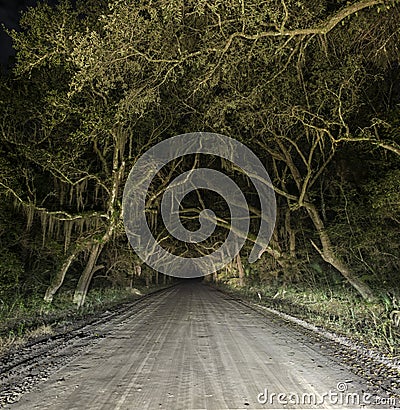 Spooky haunted eerie country dirt road Stock Photo