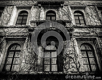 Spooky House With Dead Vines Stock Photo