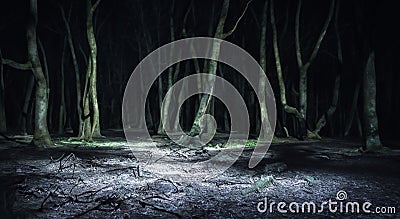 spooky night forest with gloom in the middle of nowhere dark Stock Photo