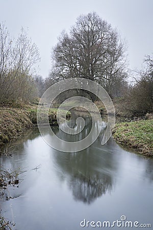 Spooky river forrest walk. winter fog through the trees Stock Photo