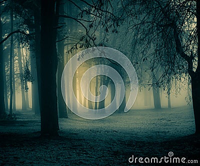 A spooky scenery of a trees. Halloween themed landscape. Stock Photo