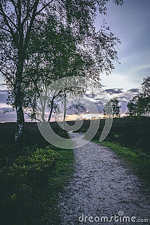 Spooky walk Stock Photo