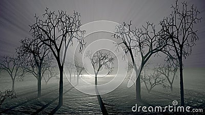 Trees and fog scene Stock Photo