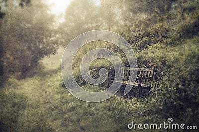 A spooky wooden bench by a path going into a forest on a foggy day, with a blurred, abstract, grunge, vintage edit Stock Photo