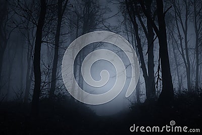 Spooky woods at night on Halloween Stock Photo