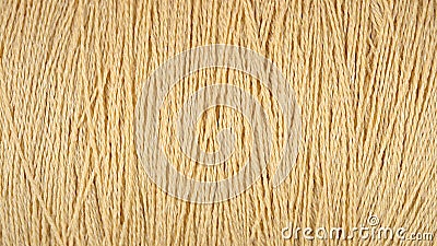 Spool of beige thread macro background Stock Photo