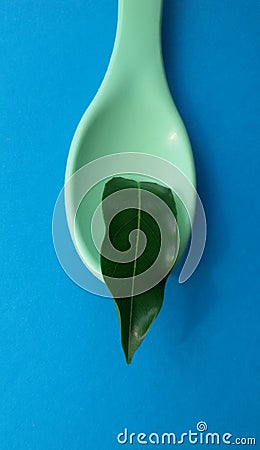 Spoon with leaf. Natural ingredients. Healthy food concept. Stock Photo