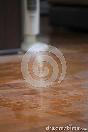 A spoor on muddy dust wooden floor in the house Stock Photo