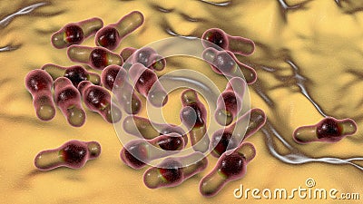 Spore-forming bacteria Clostridium Cartoon Illustration