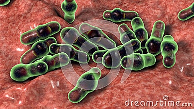 Spore-forming bacteria Clostridium Cartoon Illustration