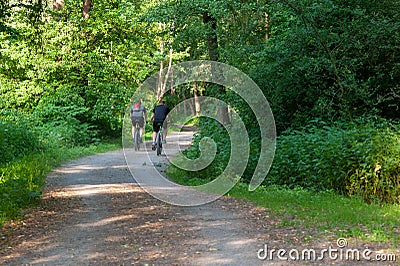 Sport biker on forrest path Stock Photo