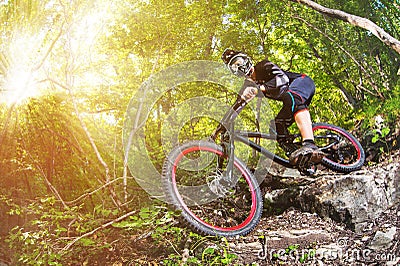 Sport. A cyclist on a bike with a mountain bike in the forest Stock Photo