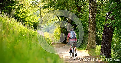 Sportive man cycling in sunny park in hot summer day. Switzerland, Europe Editorial Stock Photo