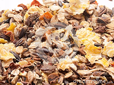 Sportive muesli background with black oats. for horse. macro Stock Photo