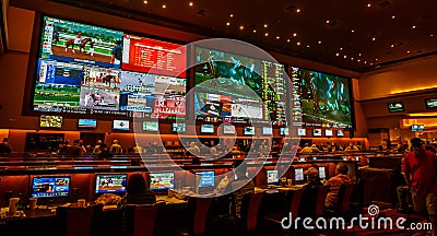 Sports betting room. Editorial Stock Photo