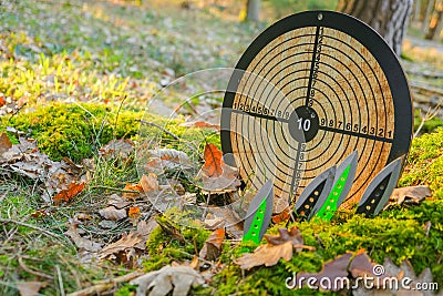 Sports equipment. Throwing knives and a round target for throwing in a sunny forest.Sport and hobby. metal knives for Stock Photo