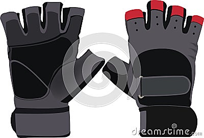Sports Gloves Gym Vector Illustration