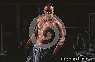 Sporty lifestyle. Dumbbells exercises. Male torso with six packs. Bodybuilder in gym. Training and workouts. Sportsman Stock Photo
