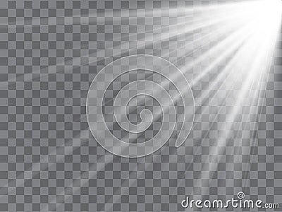 Spotlight rays with beams on transparent background. Flash light Vector Vector Illustration