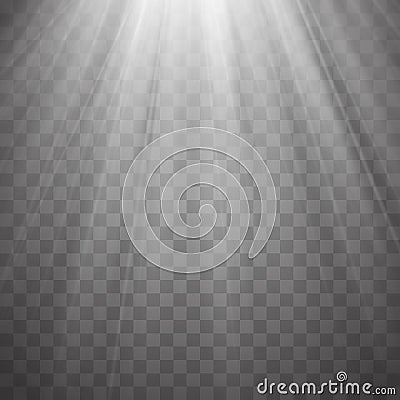 Spotlight rays with beams on transparent background. Flash light Vector Vector Illustration