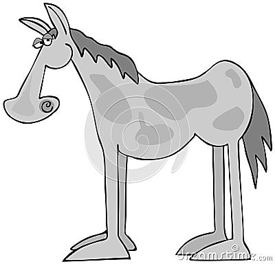 Spotted gray horse from the side Stock Photo