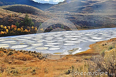 Spotted lake in Okanagan Vallye, Osoyoos, British Columbia. Stock Photo